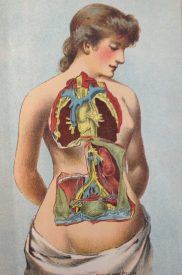 The Ladies' New Medical Guide